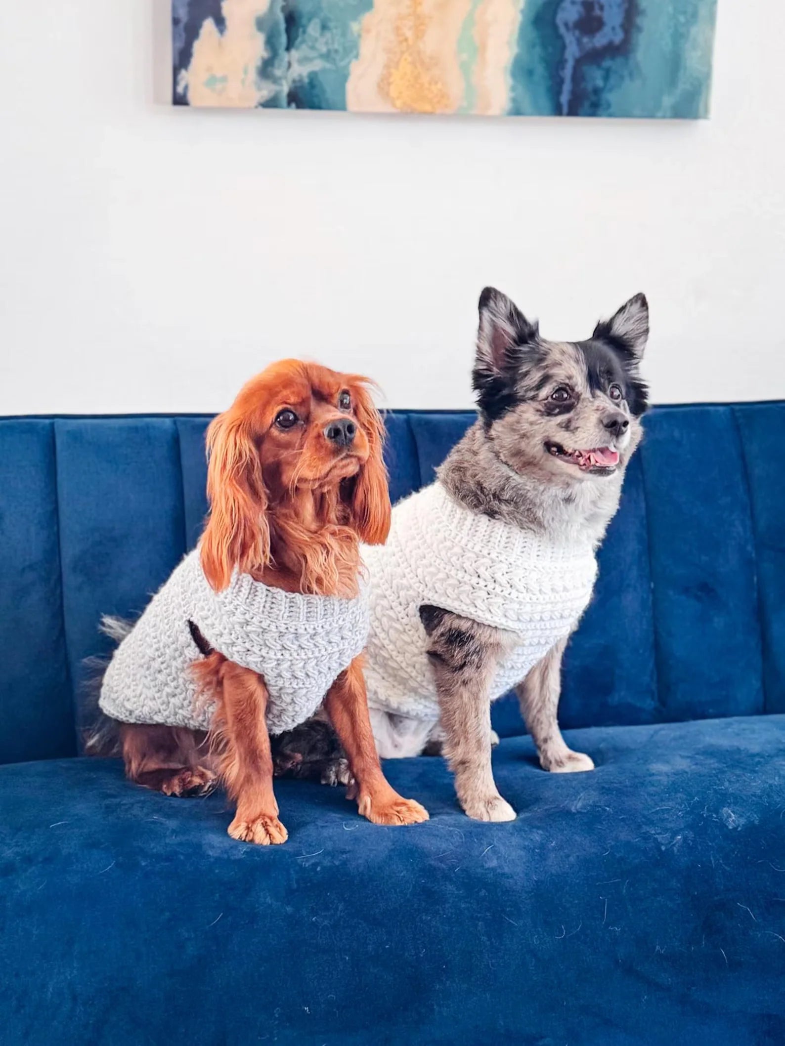 Hundepullover Häkelanleitung PDF + Video – Top-Down Pullover für Hunde in 8 Größen