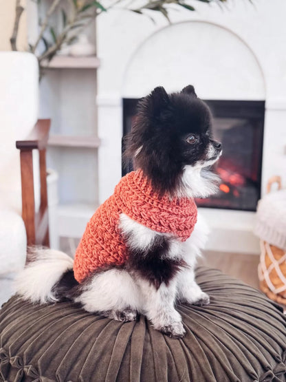 Hundepullover Häkelanleitung PDF + Video – Top-Down Pullover für Hunde in 8 Größen