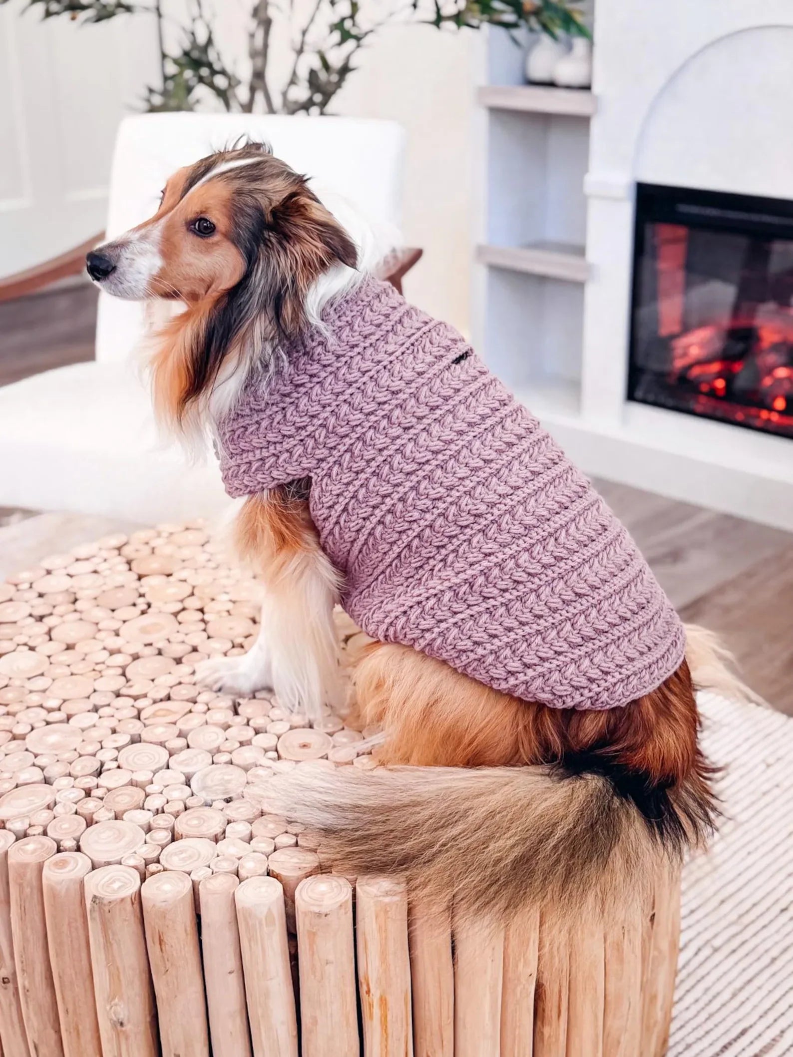 Hundepullover Häkelanleitung PDF + Video – Top-Down Pullover für Hunde in 8 Größen