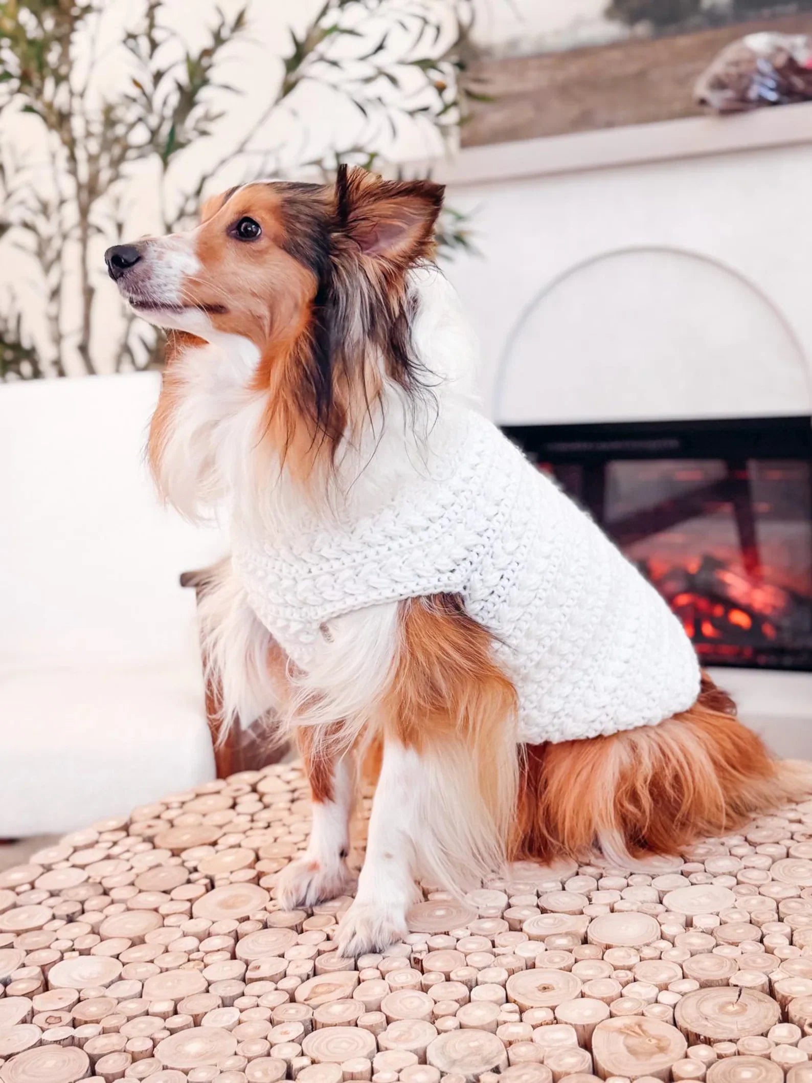 Hundepullover Häkelanleitung PDF + Video – Top-Down Pullover für Hunde in 8 Größen
