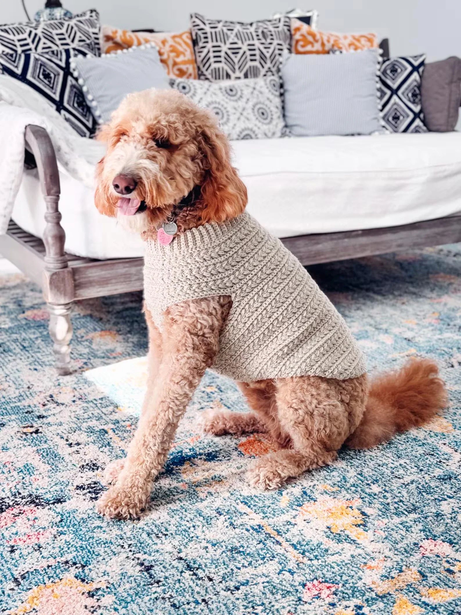 Hundepullover Häkelanleitung PDF + Video – Top-Down Pullover für Hunde in 8 Größen