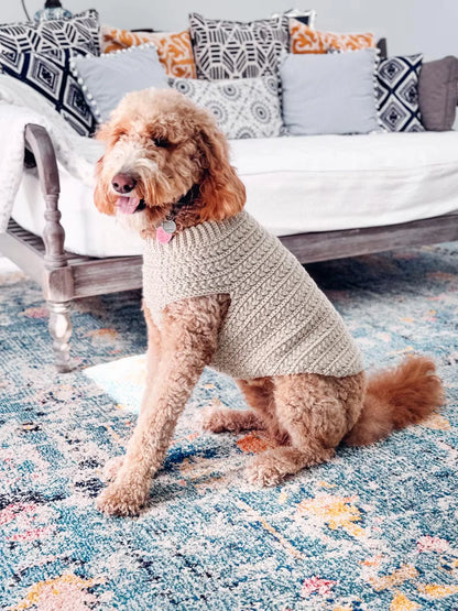Hundepullover Häkelanleitung PDF + Video – Top-Down Pullover für Hunde in 8 Größen